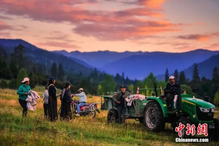 鲁朗国际旅游小镇。鲁朗管委会供图