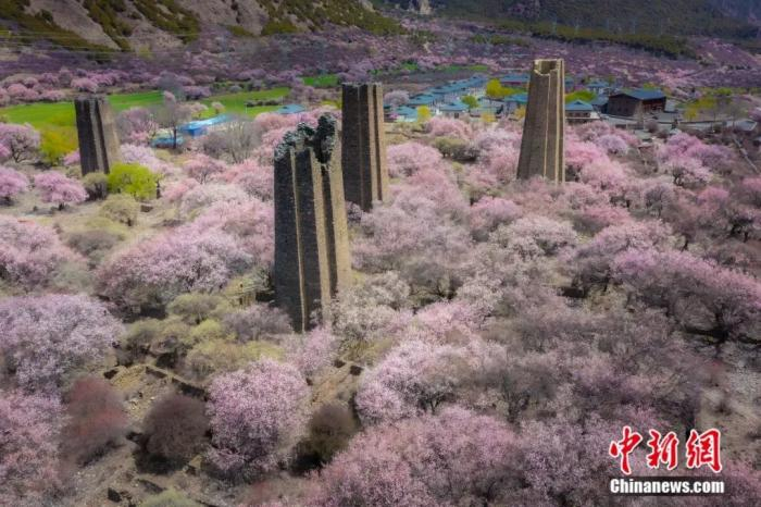 千年秀巴古堡。张静 摄