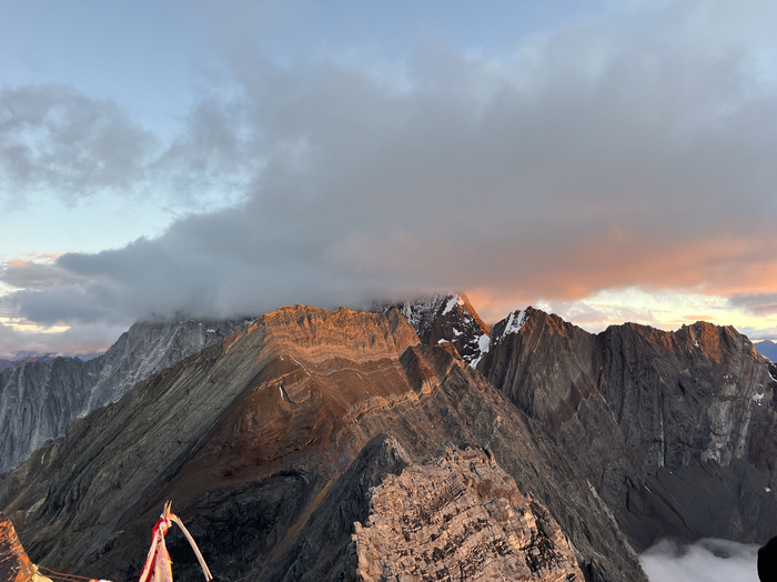 图源：作者供图