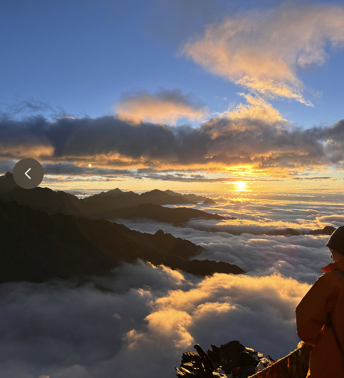 图源：作者供图