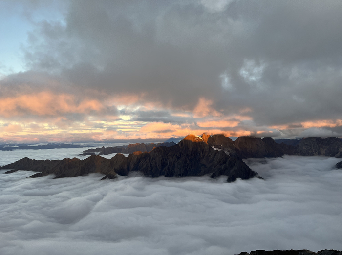 图源：作者供图