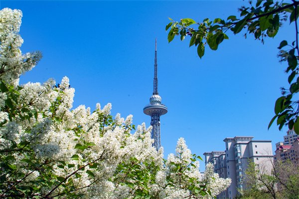 龙塔。哈尔滨市文旅局提供