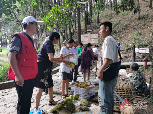 保山市龙陵县文旅志愿者引导摊贩 龙陵县文旅局供图