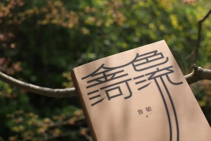 《金色河流》，鲁敏著，译林出版社，2022年3月。来源：译林出版社