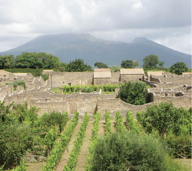 意大利庞贝古城的当代照片（《果园小史》内页插图）。