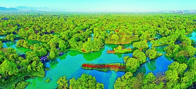     西溪湿地 资料图片