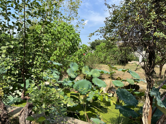 （王文银老家大宅院，财联社记者摄）