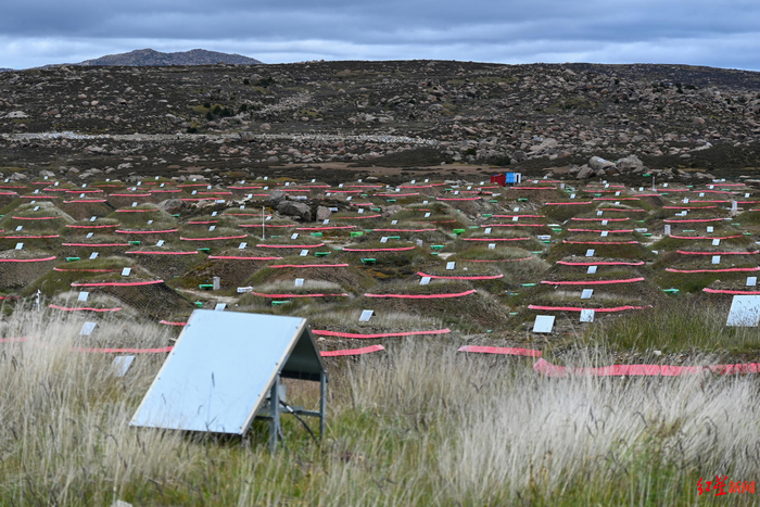 ▲缪子探测器阵列（红圈土堆）和电磁粒子探测器阵列