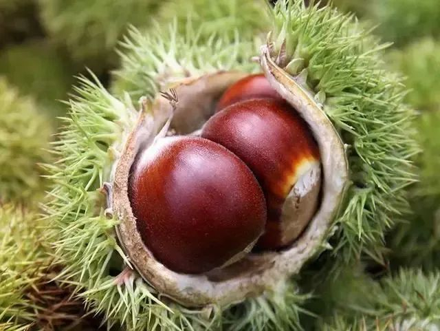 （图源：羊城晚报）