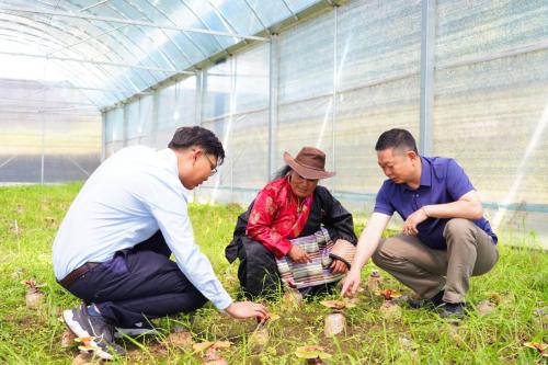 ▲援藏干部指导藏民种植技术