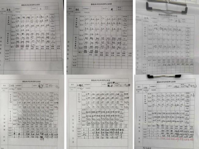 （兽医记录的喂养记录表）