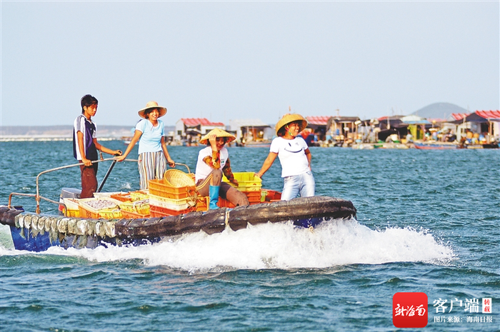 　　疍家女人里里外外都是一把好手。图为陵水疍家女在海上运送渔具渔获的情形。杨威胜 摄