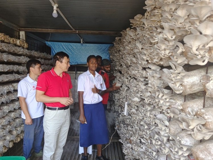 △改造后的集装箱出菇室