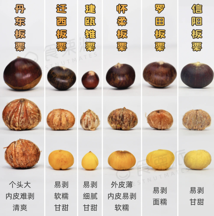 （图源：食栗派）