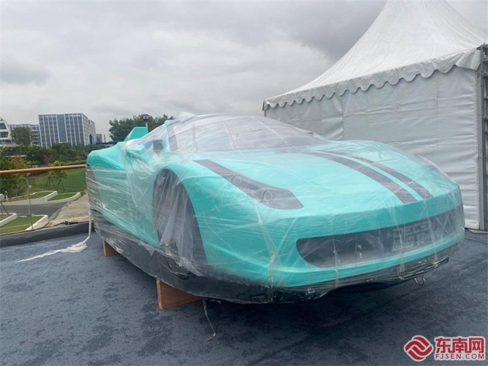 超跑汽车艇。东南网记者 卢金福 摄