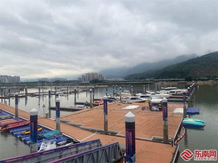 不少游艇停泊在水面上。东南网记者 卢金福 摄