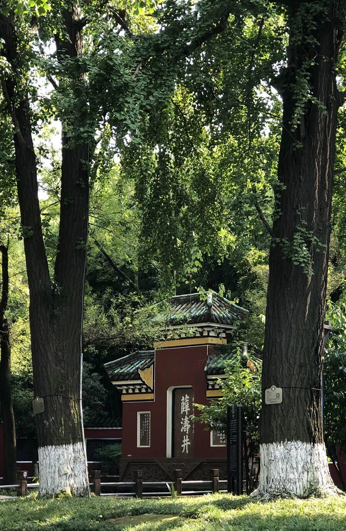 后人怀念的薛涛井