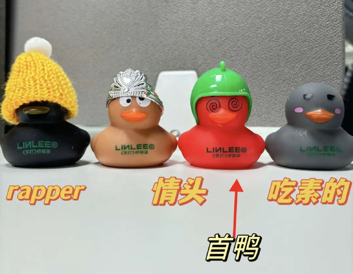 氢商业摄，我的丑鸭们