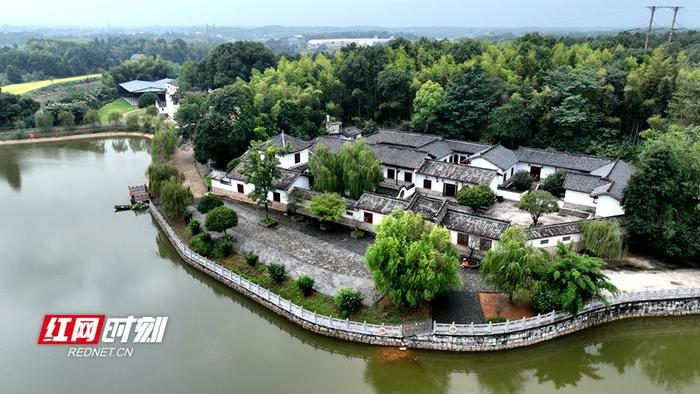 湘阴县樟树镇最新动态图片