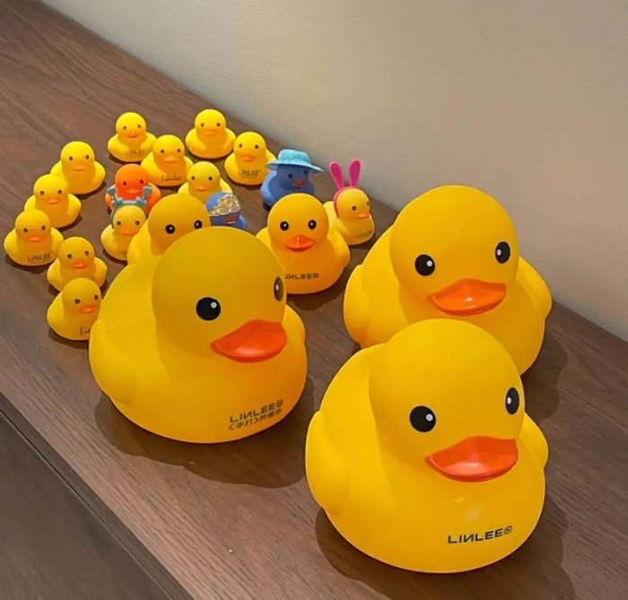 鸭的“四世同堂”，图源小红书@啾啾秋秋酱