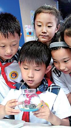 青岛嘉峪关学校的学生正在做海洋生物标本。资料图片