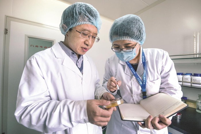     晨光生物研发团队在微生物实验室做分子育种。  晨光生物 供图        
