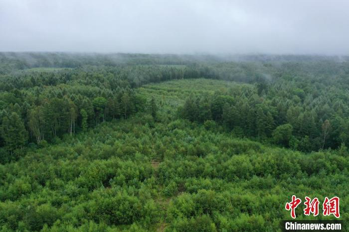 2022年8月19日，施工前的长白山40米口径射电望远镜站址场景。中国科学院上海天文台 供图 