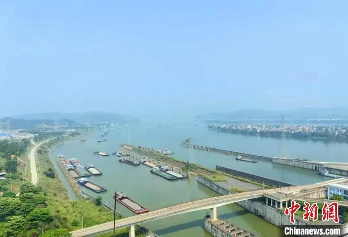 船舶有序通过长洲枢纽船闸。珠航局供图