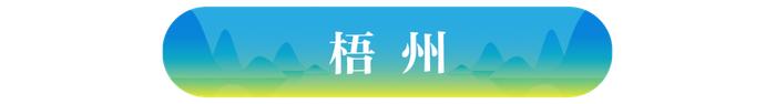 今年以来，梧州市苍梧县大力推进六堡茶古镇项目建设，图为群众为来往游客展演昔日茶船古道盛景。通讯员 廖伟 摄