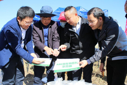 李培武院士（左二）与新洋丰团队对比分析示范区大豆籽粒