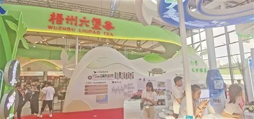 东博会上的梧州六堡茶展位。彭婧怡 摄