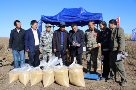 验收专家组测算示范区作物产量