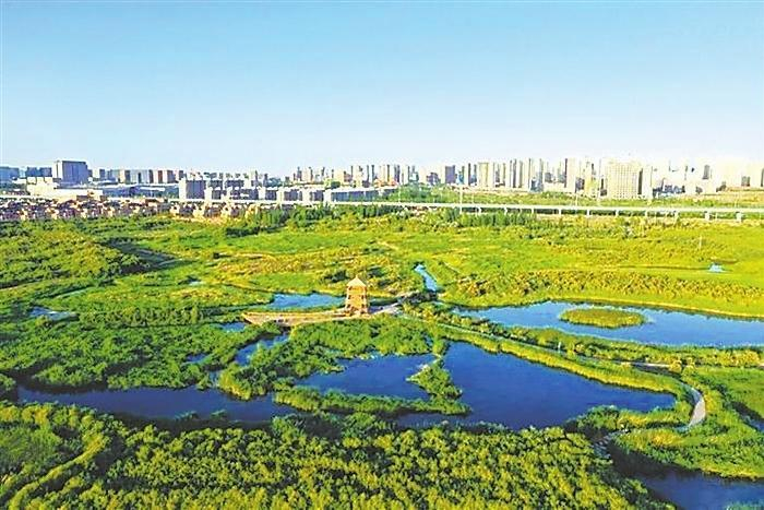 　　兰州秦王川国家湿地公园（本版图片均为资料图）