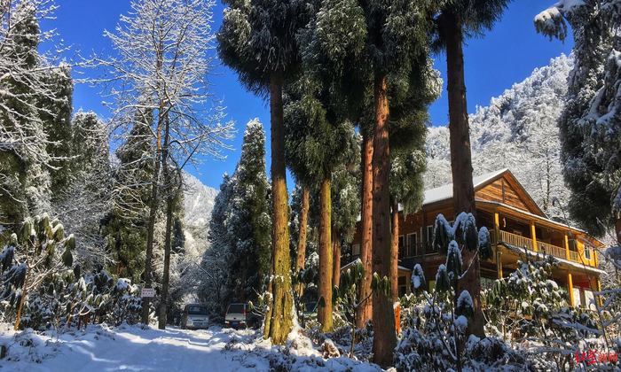 ▲大熊猫国家公园成都片区