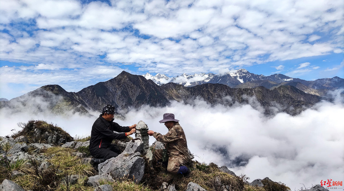 ▲大熊猫国家公园成都片区