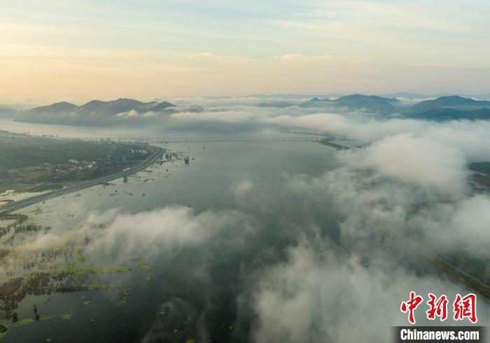 高空俯瞰淅川县丹江口水库。徐迪 摄