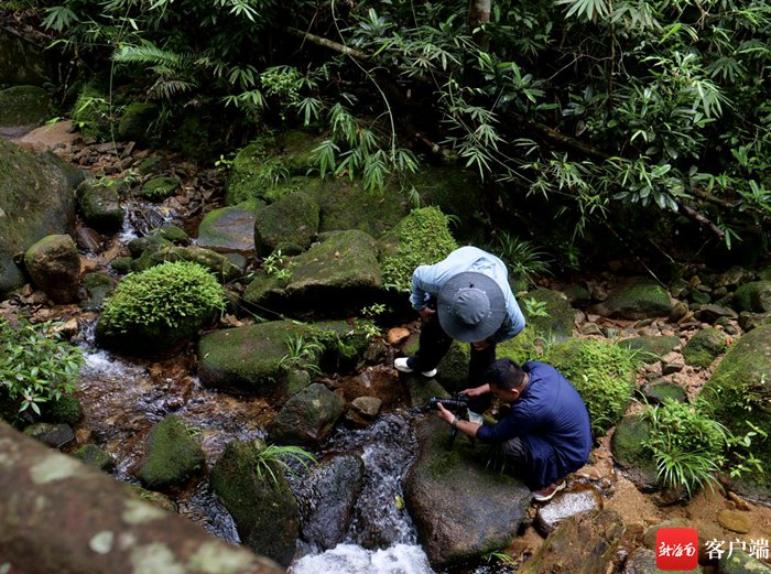 　秘境寻踪摄制团队在吊罗山拍摄溪流。秘境寻踪摄制组供图