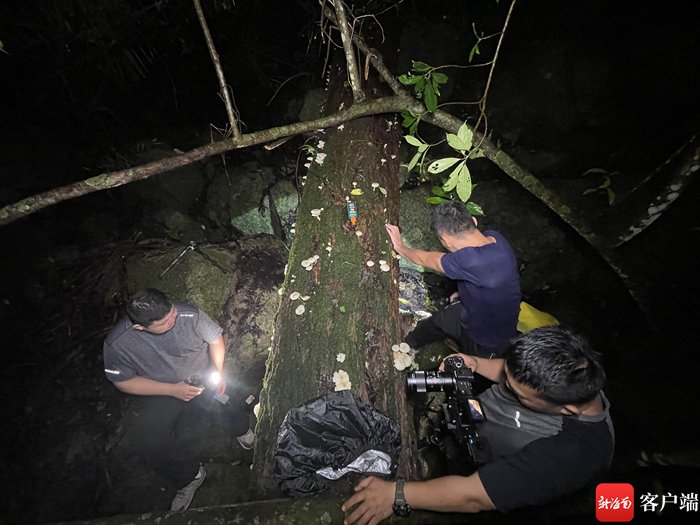 　秘境寻踪摄制团队夜探霸王岭。秘境寻踪摄制组供图