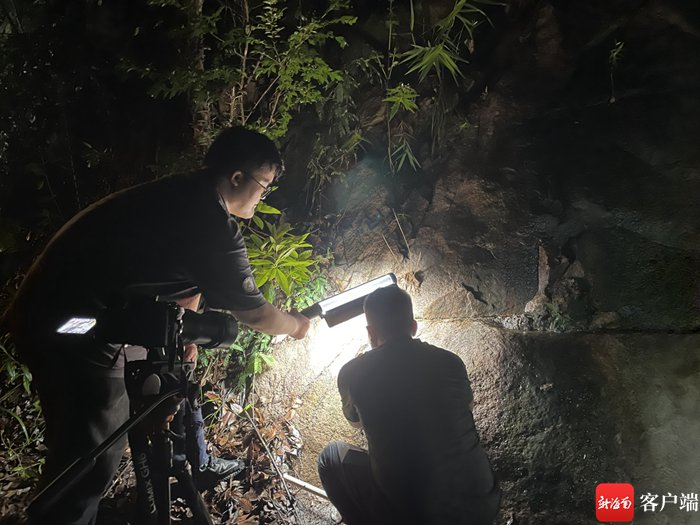 　秘境寻踪摄制团队在夜间拍摄海南睑虎。秘境寻踪摄制组供图