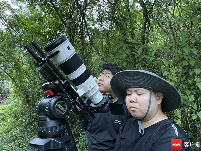 　　秘境寻踪摄制团队在吊罗山拍摄斑络新妇。秘境寻踪摄制组供图