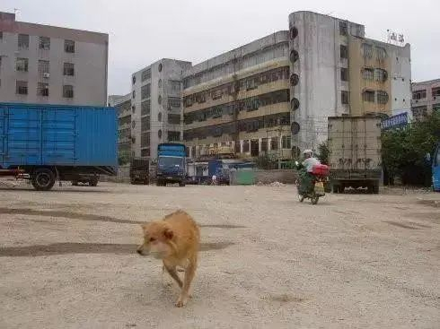 图注：西成工业区（已经拆除）旧照