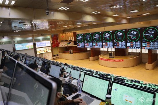 昆明花拍中心 王淑娟 摄