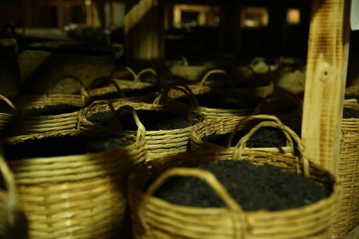 茶叶在此历经八年、2920天的风味陈化