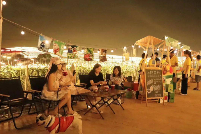 ▲游客前来打卡火龙果灯海景观。金穗生态园供图
