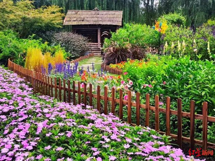 ▲成都市植物园