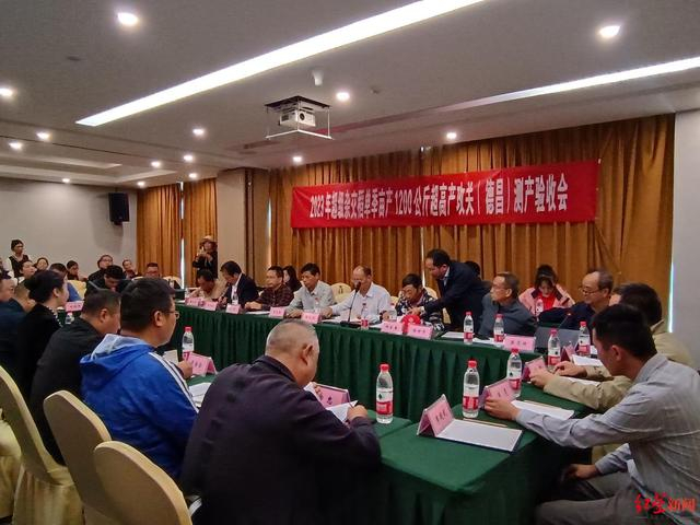 ▲测产验收会现场