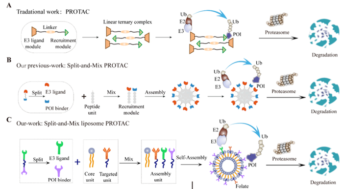 图2. 传统PROTAC、SM-PROTAC、LipoSM-PROTAC示意图