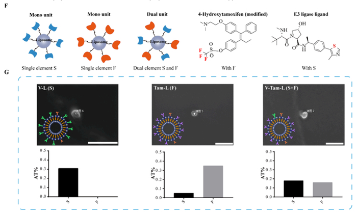图3.脂质体的制备与表征。