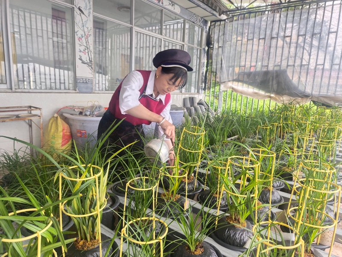 松园村村民李子妹在自家庭院内打理兰花。方志明摄