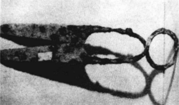 陕西宝鸡出土的西汉交股式铁剪。来源/郑巨欣主编《浙江民间剪纸史》，杭州出版社2013年版